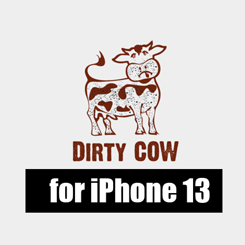 DirtyCow for iPhone 13