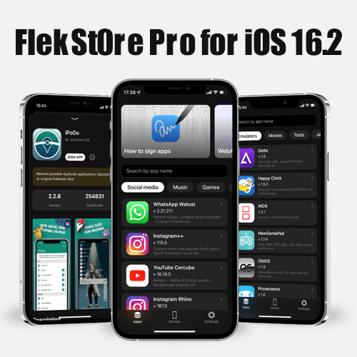 FlekStore pro for iOS 16.2