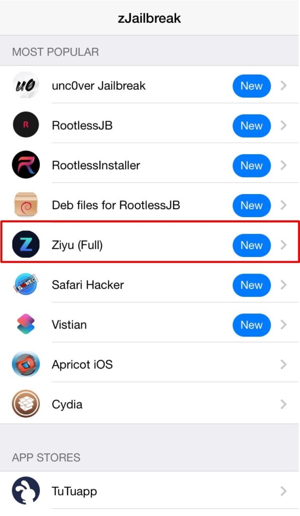 Ziyu for iOS 13 - iOS 13.3 